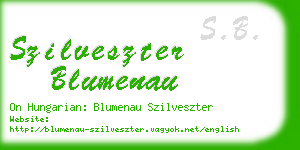 szilveszter blumenau business card